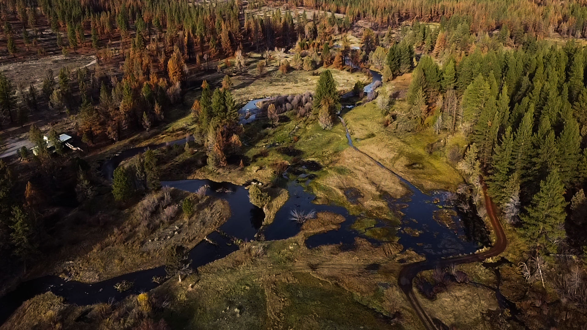 Harmony Preserve Restoration Project
